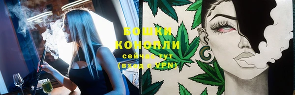 ГАЛЛЮЦИНОГЕННЫЕ ГРИБЫ Белокуриха