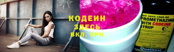 ГАЛЛЮЦИНОГЕННЫЕ ГРИБЫ Белокуриха