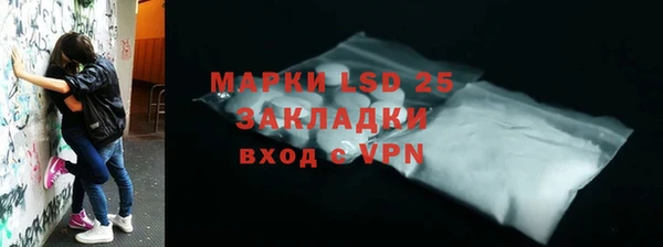 стаф Инта