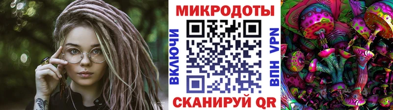 Псилоцибиновые грибы ЛСД  Курильск 